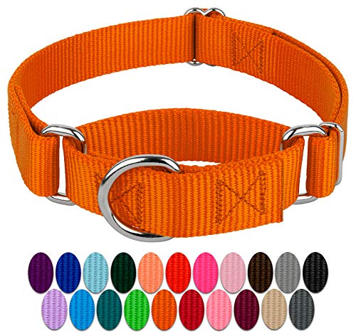 Country Brook Petz Hundehalsband, Nylon, strapazierfähig, Orange Martingale, 21 lebendige Farboptionen, 2,5 cm breit, Größe L von Country Brook Design