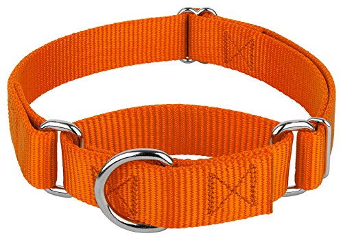 Country Brook Petz Hundehalsband, Nylon, strapazierfähig, Orange Martingale, 21 lebendige Farboptionen, 2,5 cm breit, Größe L von Country Brook Design