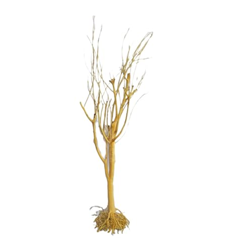 Courtieyeardceastea Treibholz Aquarium Aquarium Stamm Kleines Totholz Bonsai Licht nicht schwimmend leicht zu reinigen kleine Zweige Tank Terrarium klein von Courtieyeardceastea