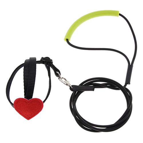 Hundegeschirr für Vögel, Papageien, Haustierseil, Vögel, Outdoor-Trainingsleine, Schwarz, Größe XS Hundegeschirr für Vögel, Papageien, Haustierseil, Vögel, Outdoor-Trainingsleine, Schwarz, Größe XS von Courtieyeardceastea