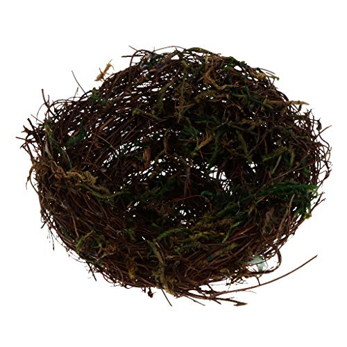 Vogelnest, handgefertigt, Rattanbett, Natur, für Papageien, Nymphensittiche, B: 15 cm Vogelnest, handgefertigt, Rattanbett, Natur, für Papageien, Nymphensittiche, B: 15 cm von Courtieyeardceastea