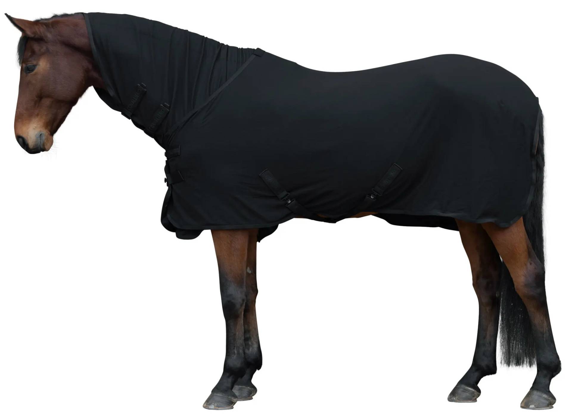 Covalliero Abschwitzdecke Light Schwarz, Gr. 165 cm Covalliero Abschwitzdecke Light Schwarz, Gr. 165 cm von Covalliero