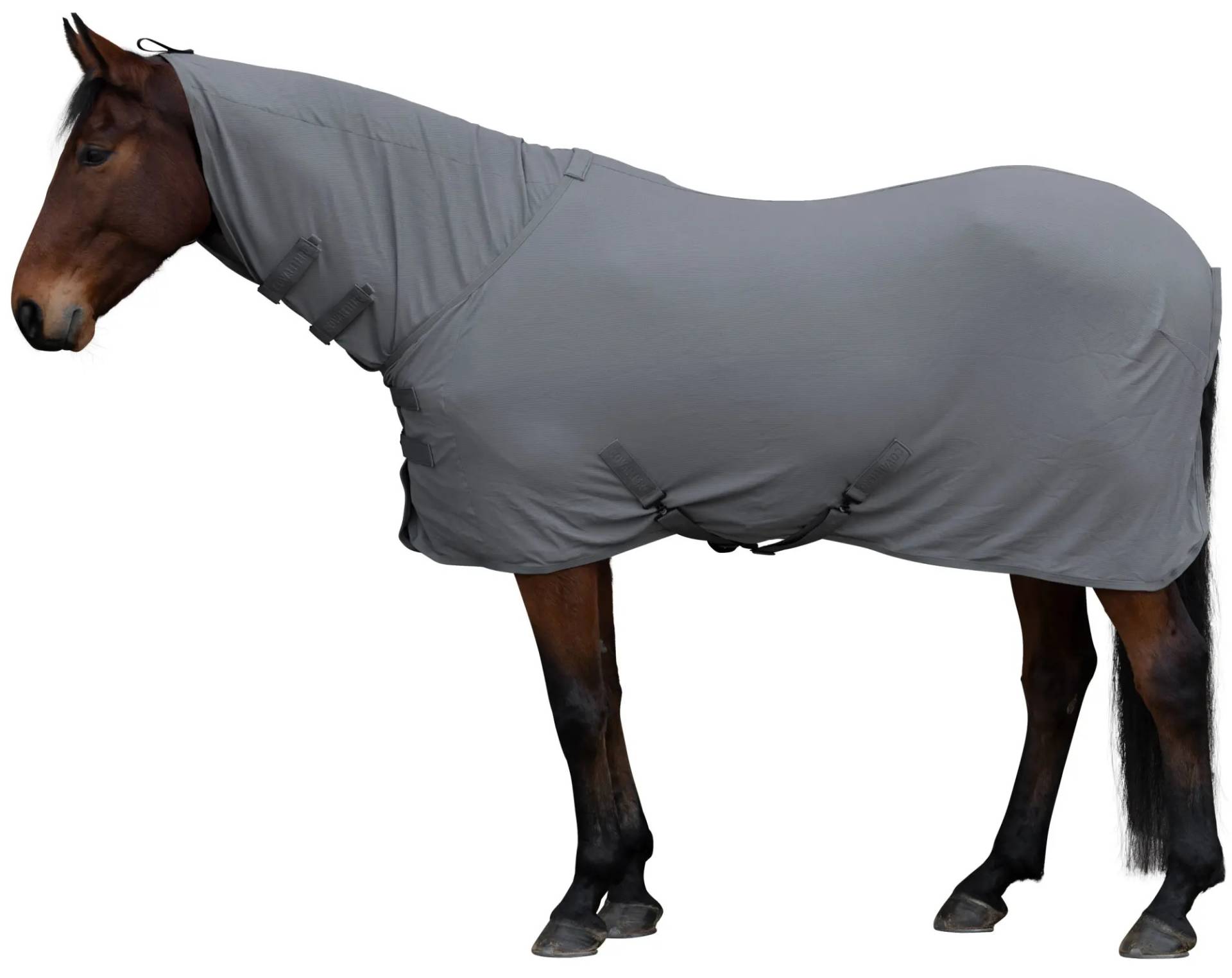 Covalliero Abschwitzdecke Light Steel Grey, Gr. 145 cm Covalliero Abschwitzdecke Light Steel Grey, Gr. 145 cm von Covalliero