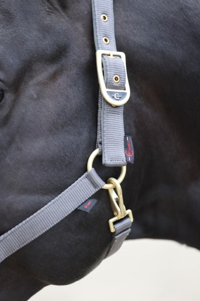 Covalliero Halfter Classy Stone, Gr. Pony Covalliero Halfter Classy Stone, Gr. Pony von Covalliero