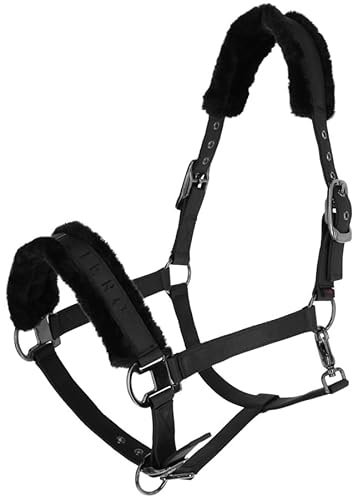 Covalliero Halfter Dornschnalle Black mit Webpolster HW 2024 (Warmblut (Full)) von Covalliero