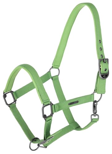 Covalliero Halfter Dornschnalle Warmblut FS 2025 Green Covalliero Halfter Dornschnalle Warmblut FS 2025 Green von Covalliero