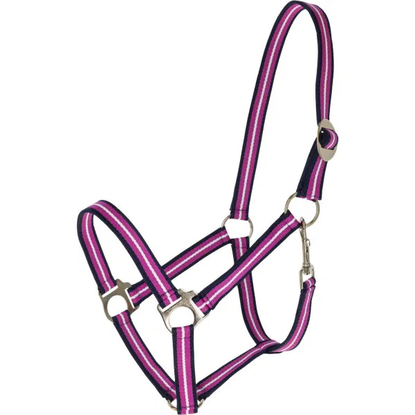 Covalliero Halfter Hippo FS26 dark navy / light berry, Cob von Covalliero