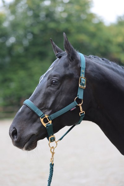 Covalliero Halfter TopLine Forest, Gr. Pony Covalliero Halfter TopLine Forest, Gr. Pony von Covalliero