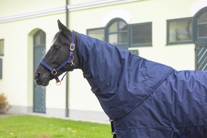 Covalliero Halsteil RugBe IceProtect 200g Dark Navy, Gr. L Covalliero Halsteil RugBe IceProtect 200g Dark Navy, Gr. L von Covalliero