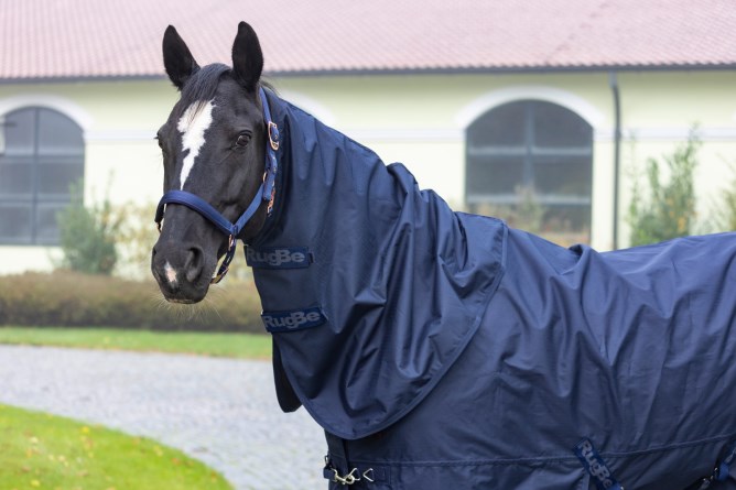 Covalliero Halsteil RugBe Zero Dark Navy, Gr. L Covalliero Halsteil RugBe Zero Dark Navy, Gr. L von Covalliero