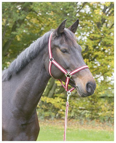 Covalliero Nylonhalfter Hippo, Cob bordeaux/beige von Covalliero