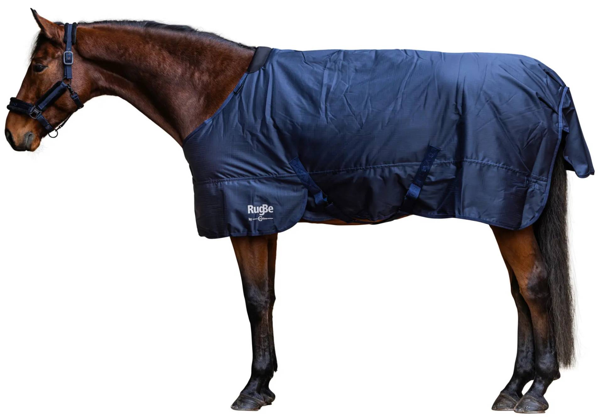Covalliero Outdoordecke 300g RugBe Dark Navy, Gr. 125 cm Covalliero Outdoordecke 300g RugBe Dark Navy, Gr. 125 cm von Covalliero