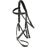 Covalliero Trense Cancun VB/ COB (Vollblut) von Covalliero