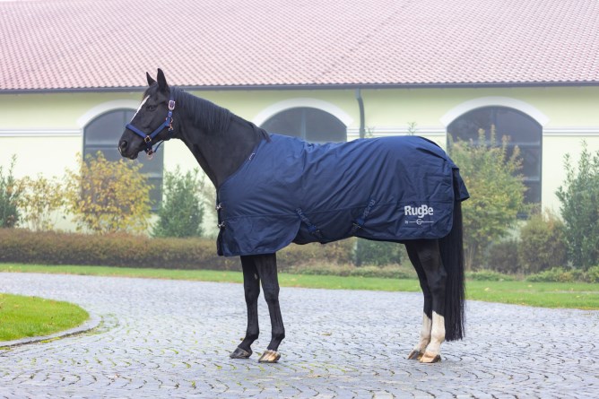 Covalliero Winterdecke RugBe IceProtect 200g Dark Navy, Gr. 135 cm Covalliero Winterdecke RugBe IceProtect 200g Dark Navy, Gr. 135 cm von Covalliero