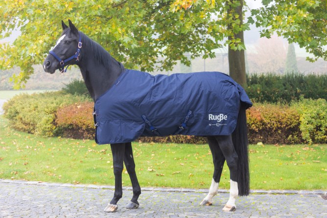 Covalliero Winterdecke RugBe IceProtect 300 g Dark Navy, Gr. 125 cm von Covalliero