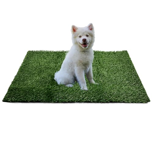 Cover Geny Hundegrasmatte, Kunstrasen für drinnen und draußen, Welpen-Töpfchentraining, langlebig, entleerbar und leicht zu reinigen, Haustier-Badezimmermatte für kleine bis große Hunde, nur Gras von Cover Geny