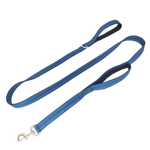 Doppelter gepolsterter Griff, Standard-Leine für große Hunde mit reflektierenden Nähten, um 360° drehbar, robuste Metallschnalle, D-Ring, strapazierfähiges Nylon, 1,8 m lang, 2,5 cm breit Doppelter gepolsterter Griff, Standard-Leine für große Hunde mit reflektierenden Nähten, um 360° drehbar, robuste Metallschnalle, D-Ring, strapazierfähiges Nylon, 1,8 m lang, 2,5 cm breit von Cover Geny