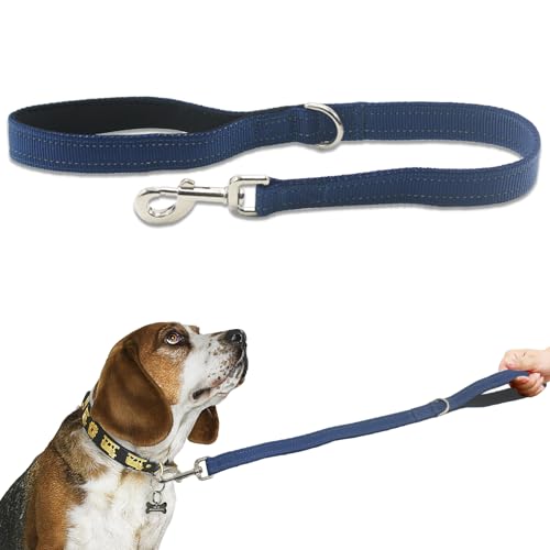 Kurze Nylon-Leine mit Griff, 61 cm, robuste Hundeleine, gepolsterter Griff und D-Ring für Kontrolle, 70 cm lang, für kleine bis große Hunde, Trainingsleine, Blau Kurze Nylon-Leine mit Griff, 61 cm, robuste Hundeleine, gepolsterter Griff und D-Ring für Kontrolle, 70 cm lang, für kleine bis große Hunde, Trainingsleine, Blau von Cover Geny