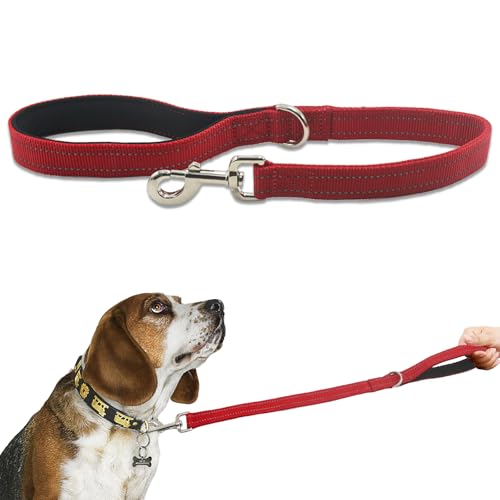 Kurze Nylon-Leine mit Griff, 61 cm, robuste Hundeleine, gepolsterter Griff und D-Ring für Kontrolle, 70 cm lang, für kleine bis große Hunde, Trainingsleine, Rot Kurze Nylon-Leine mit Griff, 61 cm, robuste Hundeleine, gepolsterter Griff und D-Ring für Kontrolle, 70 cm lang, für kleine bis große Hunde, Trainingsleine, Rot von Cover Geny