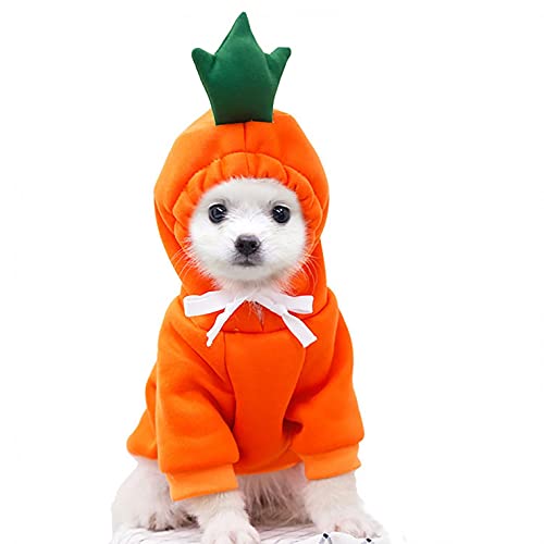 Coversolat Hundepullover Kleine Hunde - Hund Pullover Sweater Hundekleidung Corgi (S, Orange) von Coversolat