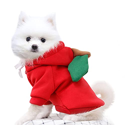 Coversolat Hundepullover Kleine Hunde - Hund Pullover Sweater Hundekleidung Corgi (S, Rot) von Coversolat