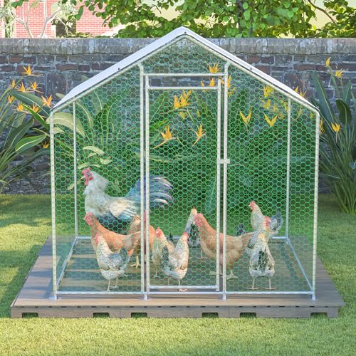 Freilaufgehege Hühnerstall 2x2x2m mit Sicherheitsschloss und Wasserdichtes PE-Tuch, Freilaufgehege aus Metall für Hühner, Kaninchen und weitere Kleintiere Freilaufgehege Hühnerstall 2x2x2m mit Sicherheitsschloss und Wasserdichtes PE-Tuch, Freilaufgehege aus Metall für Hühner, Kaninchen und weitere Kleintiere von Covigorus
