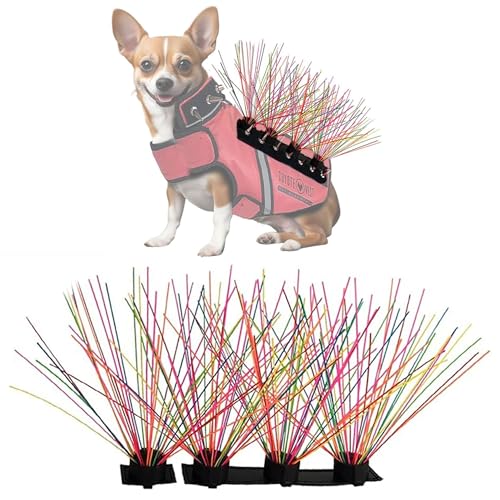 CoyoteVest CoyoteWhiskers Schutz-Nylon-Borsten für CoyoteVest oder SpikeVest Hundegeschirr-Weste, Hundezubehör, die Coyote, Hawk und Raptor Attacken abschrecken, 4 Stück, Regenbogen CoyoteVest CoyoteWhiskers Schutz-Nylon-Borsten für CoyoteVest oder SpikeVest Hundegeschirr-Weste, Hundezubehör, die Coyote, Hawk und Raptor Attacken abschrecken, 4 Stück, Regenbogen von CoyoteVest