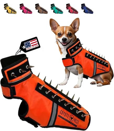 CoyoteVest SpikeVest Hundegeschirr, reflektierendes Hundezubehör mit Spikes, um Ihr Haustier vor Raptor- und Tierangriffen zu schützen, hergestellt in Amerika, Größe XS, Fluoreszierendes Orange CoyoteVest SpikeVest Hundegeschirr, reflektierendes Hundezubehör mit Spikes, um Ihr Haustier vor Raptor- und Tierangriffen zu schützen, hergestellt in Amerika, Größe XS, Fluoreszierendes Orange von CoyoteVest