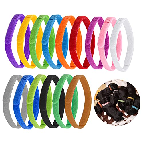 Cozlly 15 STK 35cm Welpenhalsbänder für Züchter, Verstellbar Welpen ID Halsbänder, Soft Welpen Kitten Halsbänder, Klein Identifikationshalsbänder für Neugeborener Welpen Kitten Haustier Cozlly 15 STK 35cm Welpenhalsbänder für Züchter, Verstellbar Welpen ID Halsbänder, Soft Welpen Kitten Halsbänder, Klein Identifikationshalsbänder für Neugeborener Welpen Kitten Haustier von Cozlly