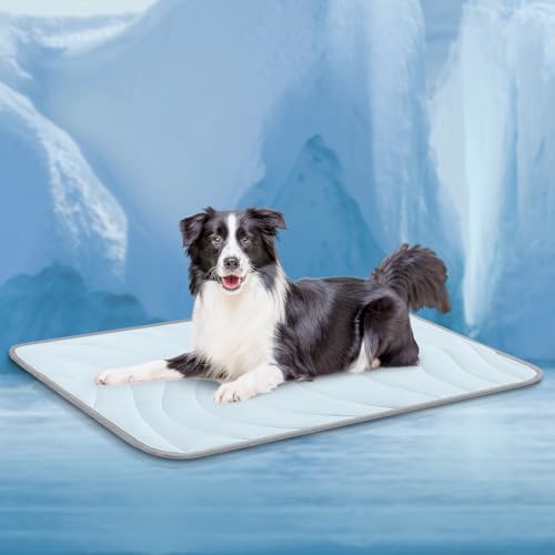 Cozyide Kühlmatte für Hunde, große Kühlmatte für Hunde (kühl und warm), wendbares Pad für Hunde, 101,6 x 71,1 cm (L x B), Blau von Cozyide