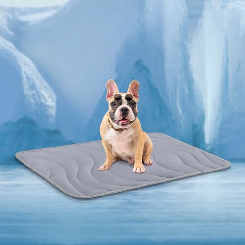 Cozyide Kühlmatte für Hunde, kleine Kühlmatte für Hunde, wendbares Pad für Haustiere, 71,1 cm L x 55,9 cm B, Dunkelgrau Cozyide Kühlmatte für Hunde, kleine Kühlmatte für Hunde, wendbares Pad für Haustiere, 71,1 cm L x 55,9 cm B, Dunkelgrau von Cozyide