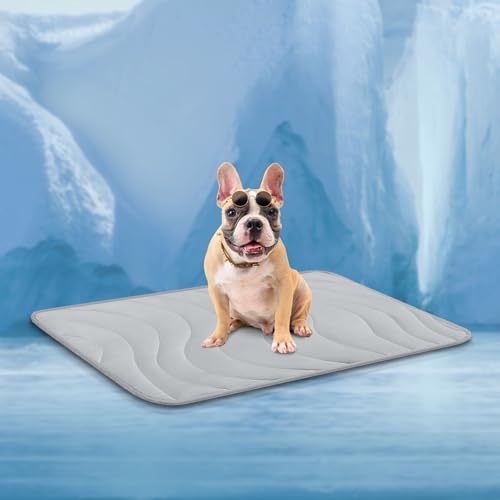 Cozyide Kühlmatte für Hunde, kleine Matte für Hunde, wendbar (kühlend und warm), für Hunde und Katzen, zur Verwendung in der Hundehütte und Sofa, maschinenwaschbar, 71,1 cm L x 55,9 cm B, Hellgrau von Cozyide