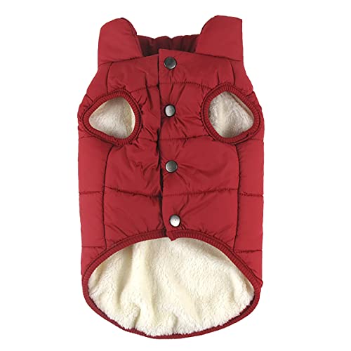 Cozylkx Mit Fleece Gefütterter Mantel Für Hunde Hündchen, Winter Warme Steppjacke Welpen Snap on Weste Winddicht Für Kaltes Wetter Cozylkx Mit Fleece Gefütterter Mantel Für Hunde Hündchen, Winter Warme Steppjacke Welpen Snap on Weste Winddicht Für Kaltes Wetter von Cozylkx