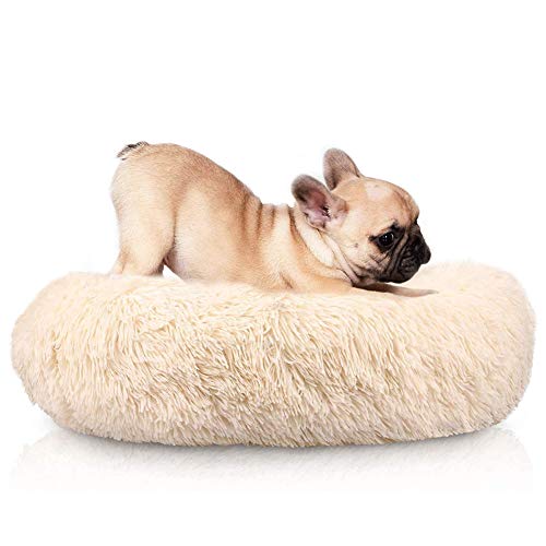 Cozywind Katzenbett Hundebett Flauschig Waschbar rund Katzenkissen Hundekissen Plüsch Haustierbett Donut Hundekorb Katzenkorb für Katzen und kleine mittelgroßen Hunde Cozywind Katzenbett Hundebett Flauschig Waschbar rund Katzenkissen Hundekissen Plüsch Haustierbett Donut Hundekorb Katzenkorb für Katzen und kleine mittelgroßen Hunde von Cozywind