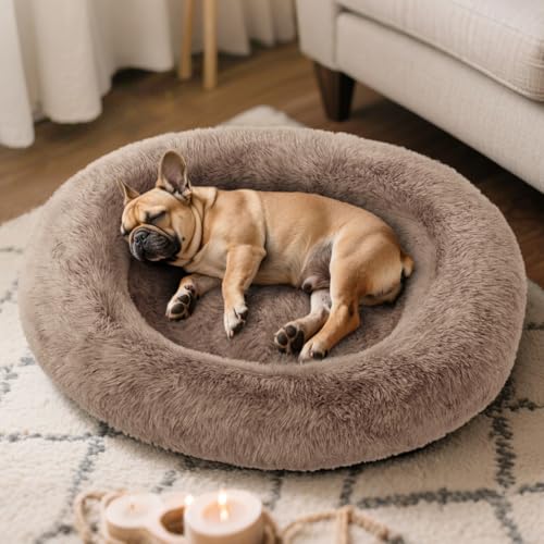 Cozzze Orthopädische Hundebetten, Donut-Haustierbetten mit Komfortschaum-Unterstützung, flauschige, rutschfeste Couch für Hund und Katze, mit waschbarem und unzerstörbarem Bezug, 81,3 cm, Beige von Cozzze