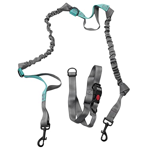 Cpolebev Hände Taille Hund Leine Mit Dual Bungees, Freie Kontrolle Für Bis Zu 150 Pfund Hunde, Langlebige Bungee Leine Mit Verstellbarem Hüftgurt - Zum, Joggen Oder Gehen Cpolebev Hände Taille Hund Leine Mit Dual Bungees, Freie Kontrolle Für Bis Zu 150 Pfund Hunde, Langlebige Bungee Leine Mit Verstellbarem Hüftgurt - Zum, Joggen Oder Gehen von Cpolebev