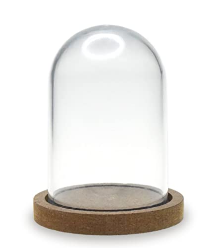 Terrarium-Kuppel, Kunststoff, transparent, mit Holzsockel – Basteln – 8,9 cm hoch von Craft Supply