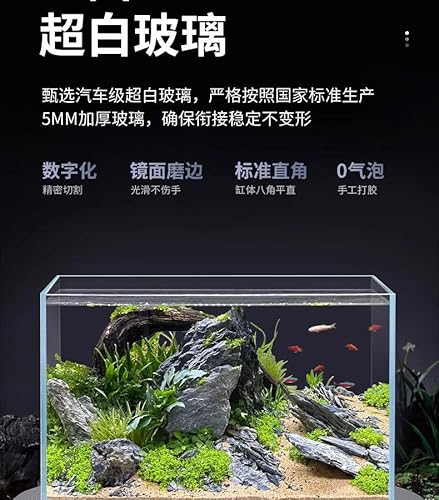 Craftsboys 10L Ultra-Klar Aquarium-Set mit LED-Beleuchtung, Filter, Sand & Steinen - Regenwald-Stil Fischbecken 30x18x20cm von Craftsboys