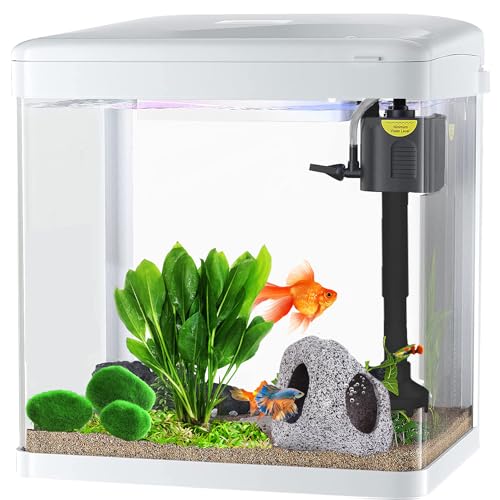 Craftsboys 15L Fischtank mit Filter und Licht, rechteckiges Aquarium Tank mit LED-Licht, Tablett-Filtersystem, gebogene Glasfront (weiß) von Craftsboys