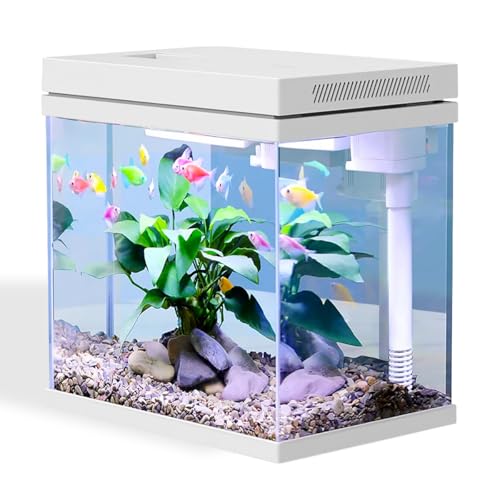 Craftsboys 16 l Aquarium, Nano-Glas-Aquarium, Upgrade-Filtersystem und LED-Licht, für Süßwasser und Marine, Filterbälle enthalten (Weiß, 16 l) von Craftsboys