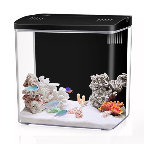 Craftsboys 4L Aquarium Starter Kids (Schwarz) von Craftsboys