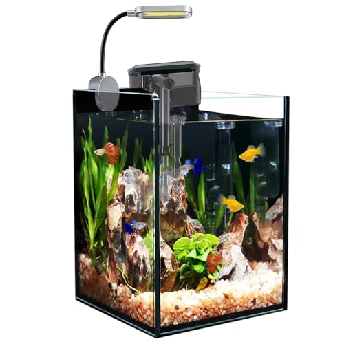 Craftsboys Aquarium-Starter-Kits, Nano-Glas-Aquarium mit Filter, LED-Licht für Aquascape DIY kleines Betta-Fischbecken von Craftsboys