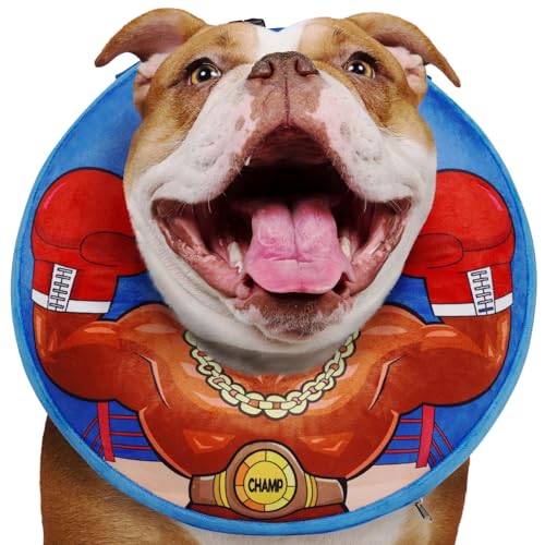 Crazy Felix Aufblasbares Hundekegel-Halsband, Donut-Hundekegel-Alternative nach Operationen, weicher Kegel für Hunde, um das Lecken zu stoppen, für kleine, mittelgroße und große Hunde, Crazy Felix Aufblasbares Hundekegel-Halsband, Donut-Hundekegel-Alternative nach Operationen, weicher Kegel für Hunde, um das Lecken zu stoppen, für kleine, mittelgroße und große Hunde, von Crazy Felix