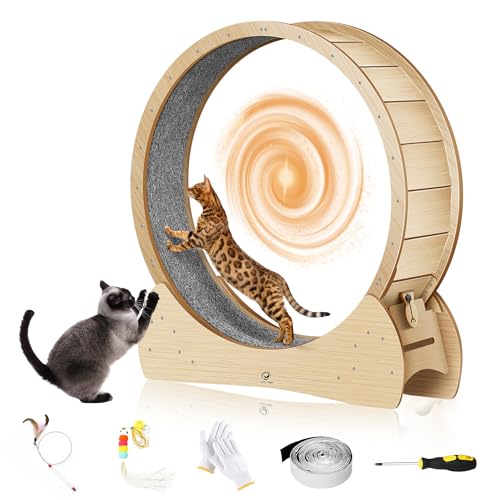 Katzenrad für Indoor-Katzen - 119,4 cm große Katzen-Trainingsräder, Katzenlaufrad, Katzenlaufband von CrazyTiger