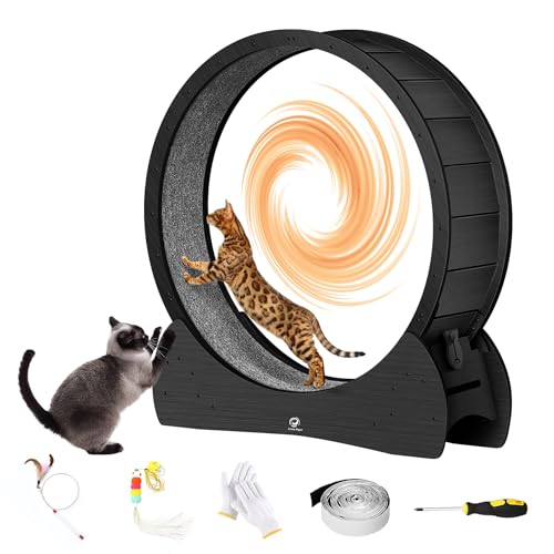 Katzenrad Schwarz Großes Katzen-Trainingsrad mit Teppichboden Laufsteg Katzenlaufband mit Ultra Low Noise Laufrad für Indoor Katzen Gewichtsverlust Katze Hamster Räder Kitty Geschenke für Katzenrad Schwarz Großes Katzen-Trainingsrad mit Teppichboden Laufsteg Katzenlaufband mit Ultra Low Noise Laufrad für Indoor Katzen Gewichtsverlust Katze Hamster Räder Kitty Geschenke für von CrazyTiger