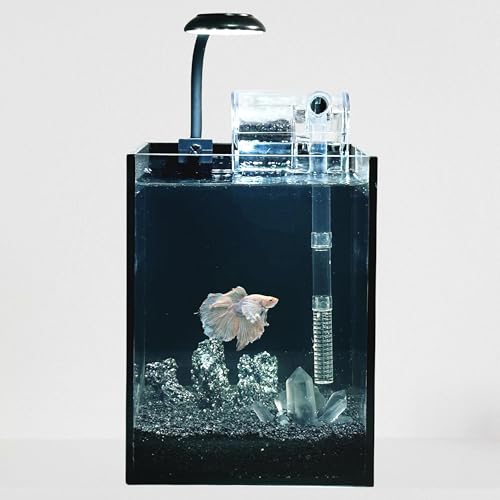 Nano-Aquarium-Set, randlos, kleiner Glasbehälter mit Filter, Aquarium-Licht und Aquascaping-Dekorationen, für Zuhause und Büro (schwarzer Tank, weißer Kristall, klein) von Crd