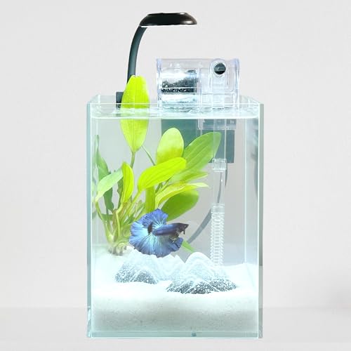Nano-Fischtank, ultraklares Glas, Aquarium-Starter-Set, randloses kleines Aquarium mit Filter und COB-Fischlicht und Landschaftsdekorationen (transparentes Aquarium – Berg, klein) von Crd