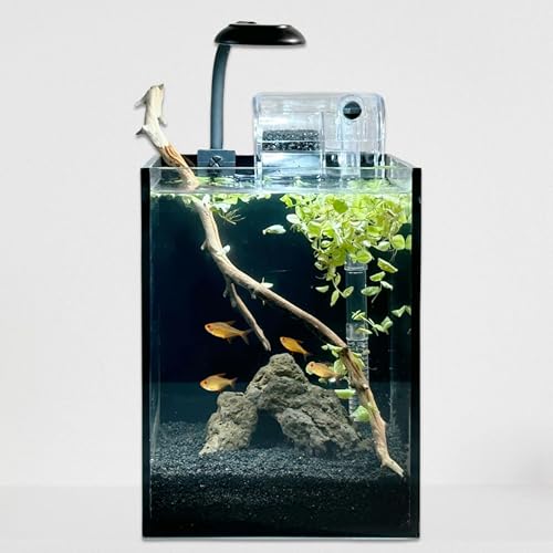 Nano-Fischtank, ultraklares Glas-Aquarium-Starter-Set, randloses kleines Aquarium mit Filter und COB-Fischlicht und Landschaftsdekorationen (schwarzes Aquarium – Rock, klein) von Crd
