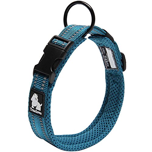 Creation Core Reflektierendes Hundehalsband mit Ring, atmungsaktives Netzgewebe, weich gepolstert, verstellbar, Nylon, 2 cm breit, Blau M von Creation Core