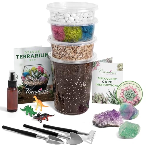 Creations by Nathalie – Large DIY Succulent, Cactus, or Air Plant Terrarium Kit with Soil, Moss, Pebbles, Terrarium Tools, Amethyst Gem, Crystal Chips - Handmade in USA von Creations by Nathalie